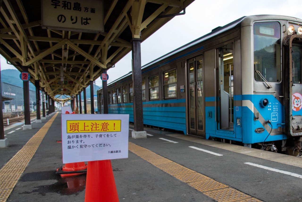 2015 07 05 15 18 八幡浜駅 鳥の保護