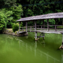 2015-07-05-12-38 弓削神社の太鼓橋<br>サンライズ瀬戸と特急で新居浜・松山・内子と八幡浜から伊予灘ものがたり、倉敷をめぐる旅