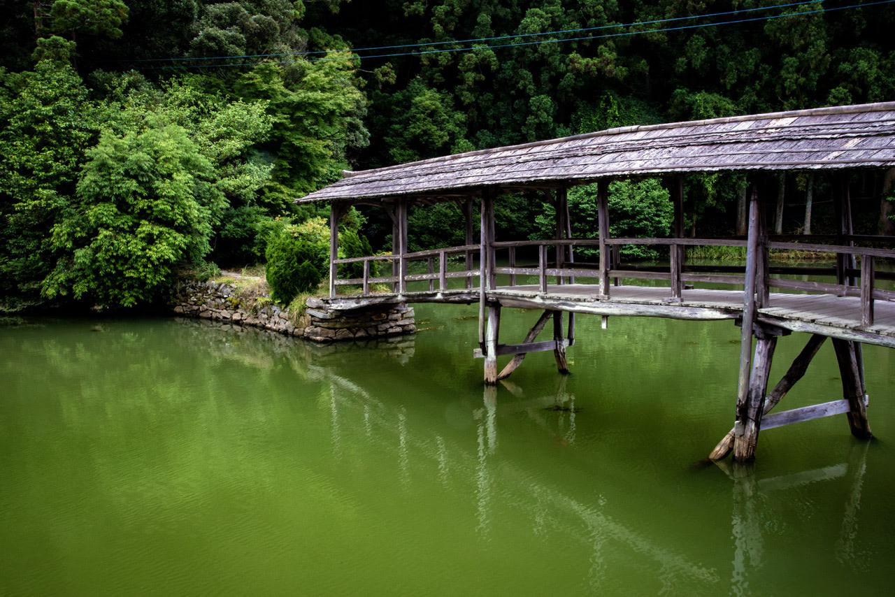 2015 07 05 12 38 弓削神社の太鼓橋