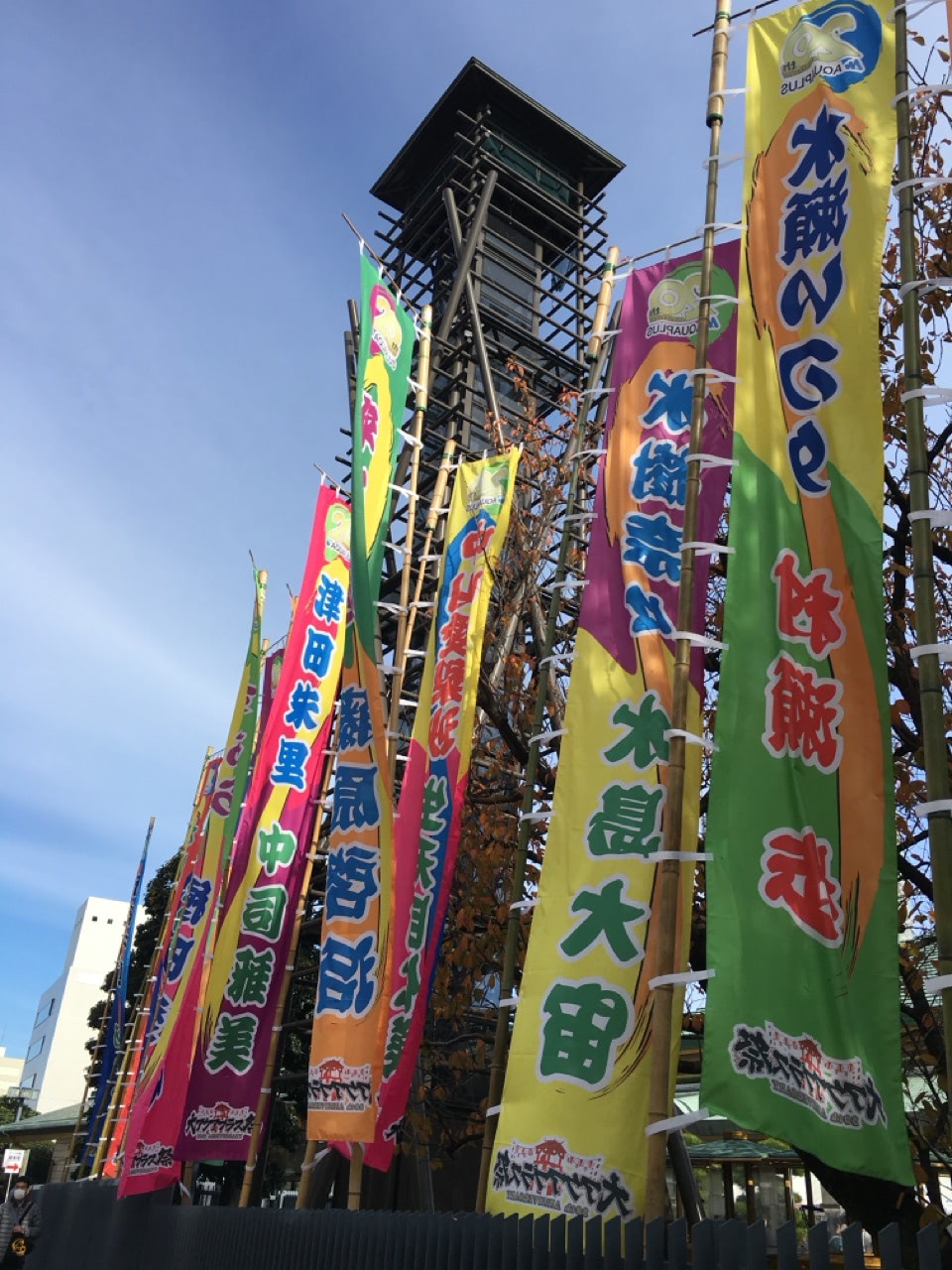 2015 11 29 12 17 両国 国技館前ののぼり 大アクアプラス祭