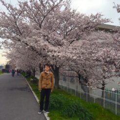 2016-04-03 16-45 六郷土手 桜の前に立つCOTA<br>桜が咲いた