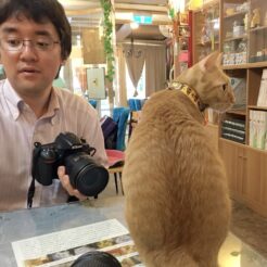 2016-08-15-14;02 台湾 台北市士林區 小貓花園 猫カフェ発祥の店と言われる場所にいるCOTA<br>松山文創園区を歩き老牌牛肉拉麵大王で食事をして猫カフェ発祥の地、猫で町おこしをする侯硐猫村、師大夜市とカフェ巡り