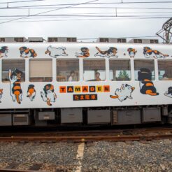 2017-06-11 14;45 伊太祈曽駅 たま電車 車体中央<br>京都洛東から京阪で難波、天王寺のマリオット都ホテルに泊まり梅田・天神橋筋、和歌山電鉄たま電車に乗る旅