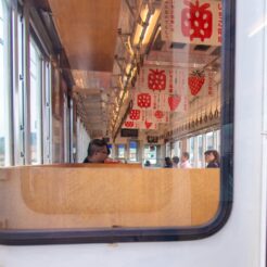 2017-06-11 14;42 伊太祈曽駅付近 和歌山電鉄 いちご電車連結面<br>京都洛東から京阪で難波、天王寺のマリオット都ホテルに泊まり梅田・天神橋筋、和歌山電鉄たま電車に乗る旅