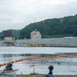 2017-08-14 12;50 宮古 東日本大震災後の堤防が城壁のように並ぶ<br>青森の弘前から五所川原でやってまれ丼、盛岡と宮古・浄土ヶ浜、田老と岩泉 龍泉洞を巡る旅