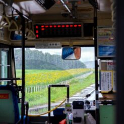 2017-08-15 16;46 小岩井 ひまわり畑を走るバス<br>青森の弘前から五所川原でやってまれ丼、盛岡と宮古・浄土ヶ浜、田老と岩泉 龍泉洞を巡る旅