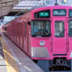 2017-11-04 12;15 清瀬駅 ピンク色の西武車両<br>おじいちゃんの病院のお見舞いと花の家へ