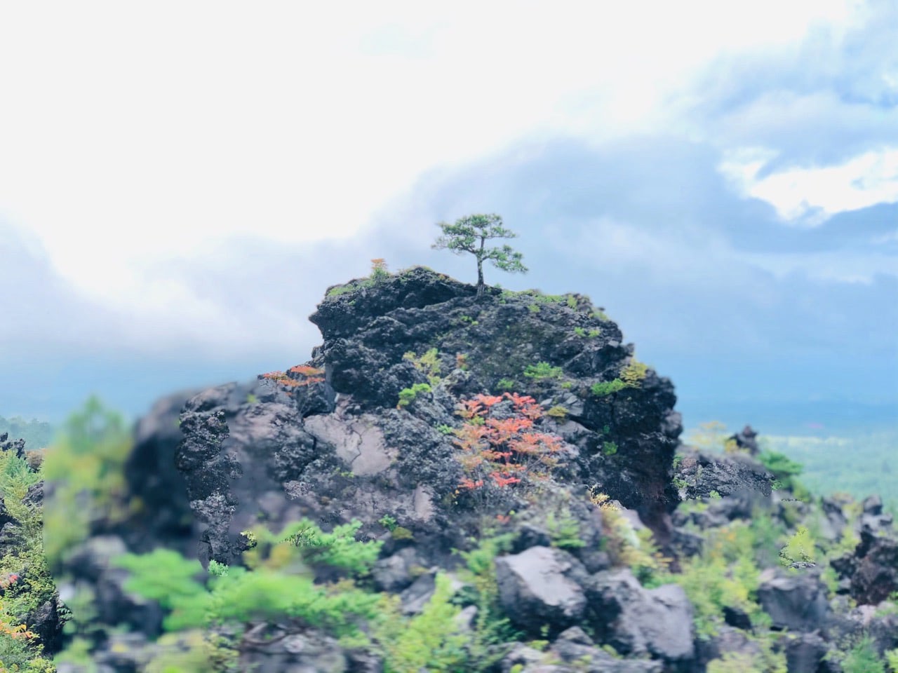 2018 09 09 16;32 嬬恋村 鬼押出し園