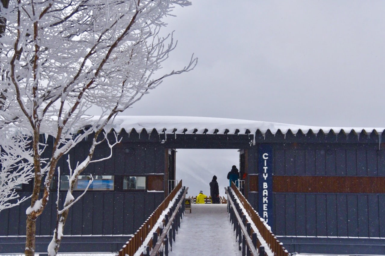 2019 02 10 15;08 白馬村 白馬マウンテンハーバー お店