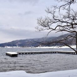 2019-02-10 16;31 大町市 木崎湖 木と桟橋<br>岡谷からレンタカーで松本を経由して白馬村に向かい雪道をドライブして岡谷に戻る旅