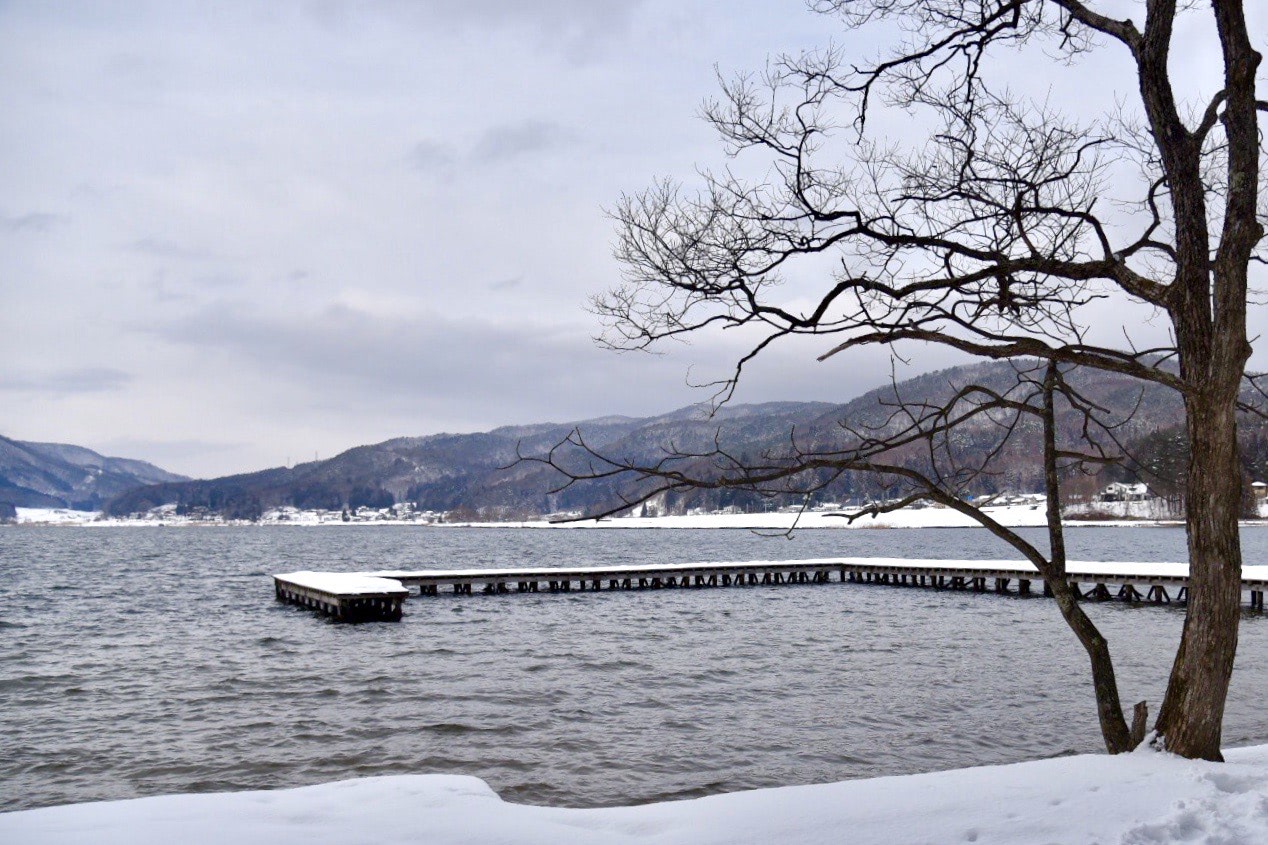 2019 02 10 16;31 大町市 木崎湖 木と桟橋