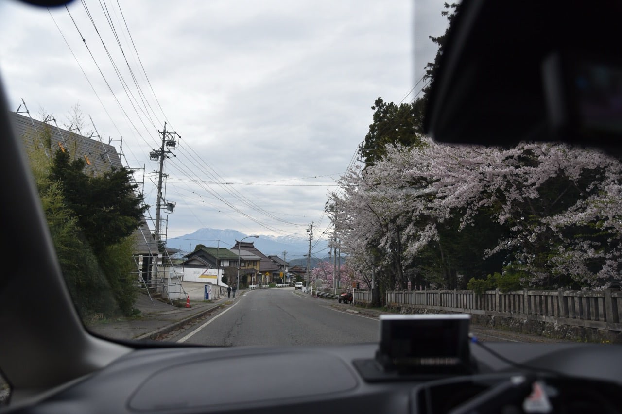 2019 04 29 16;26 下高井郡山ノ内町平穏 道沿いの桜