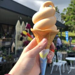 2019-05-19 15;27 南房総市 道の駅 ローズマリー公園 びわソフト<br>有楽町で買えいたレンタカーで勝浦から南房総・白浜を回って木更津・アクアライン経由で一周するドライブ