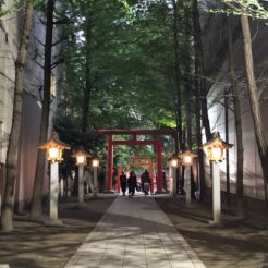 2019-05-04 18;27 新宿 花園神社<br>新宿花園神社で劇団唐組の公演「ジャガーの眼」をみる