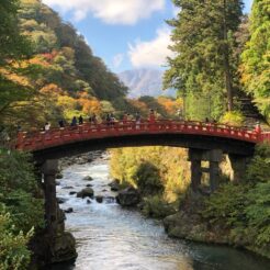 2020-10-24 10;53 日光 東照宮前の神橋<br>浅草から深夜出発の東武夜行列車「日光夜行号」とバスで紅葉の奥日光・戦場ヶ原を散策して日光を楽しむ