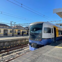 2021-01-02 12;03 銚子駅 JR東日本 255系<br>銚子電鉄と銚子周辺の神社巡り・犬吠埼の旅