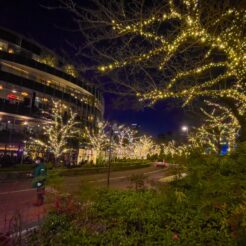 2021-12-12 17;15 六本木 東京ミッドタウン クリスマスのライトアップ<br>クリスマスに六本木や芝公園を歩く