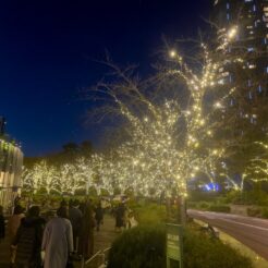 2021-12-12 17;13 六本木 東京ミッドタウン クリスマスイルミネーション<br>クリスマスに六本木や芝公園を歩く