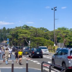 2022-06-26 12;54 松島 松島海岸中央広場付近の道路と観光客<br>仙台駅を拠点に山形県の山寺と宮城県の松島を回る旅