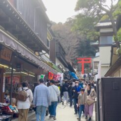 2023-03-12 11;59 江ノ島<br>友達と江ノ島と鎌倉を巡る