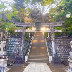 2023-04-03 16;59 新馬場 品川神社<br>おじいちゃんやおばあちゃんと行った品川神社の桜が咲いていた