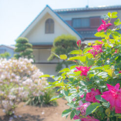 花の家