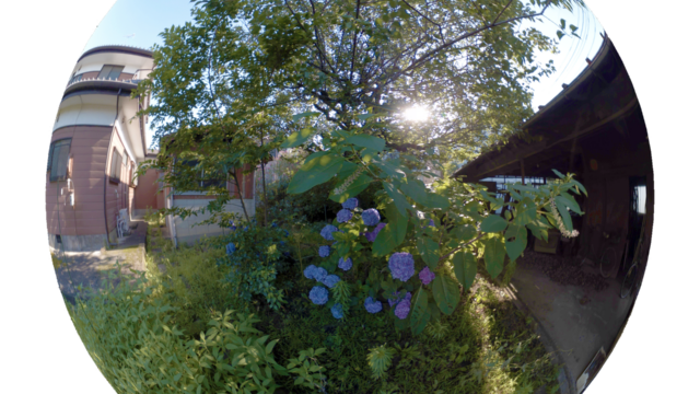 Kawasatoinsta360202306maru