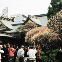 2005-02-10 湯島天神<br>湯島天神