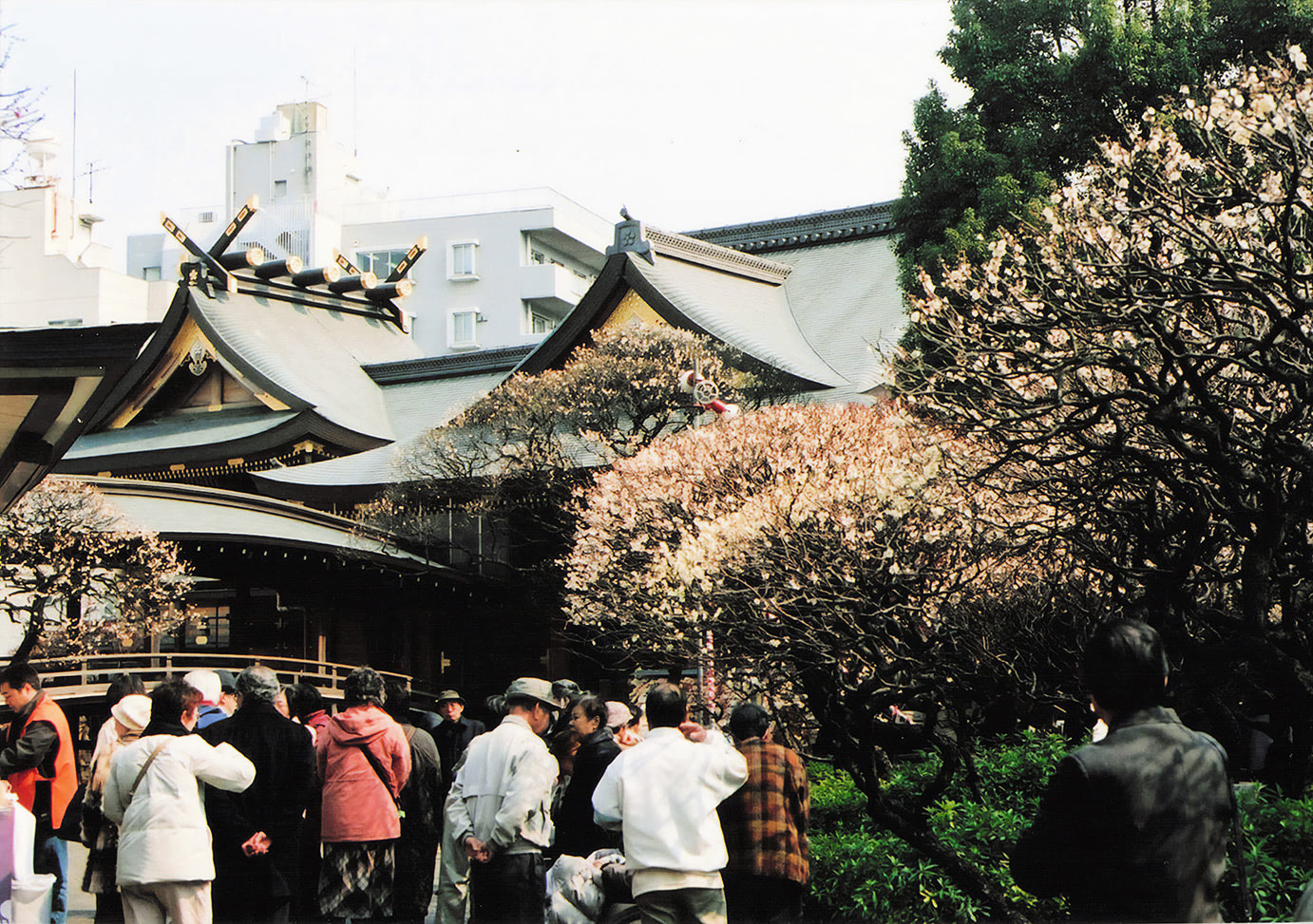 湯島天神