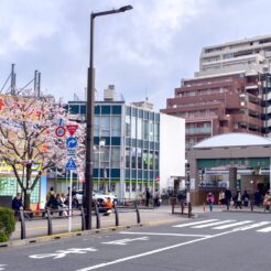 2024-04-06 15;09 花小金井駅北口 桜<br>花の家で遺品整理と記録