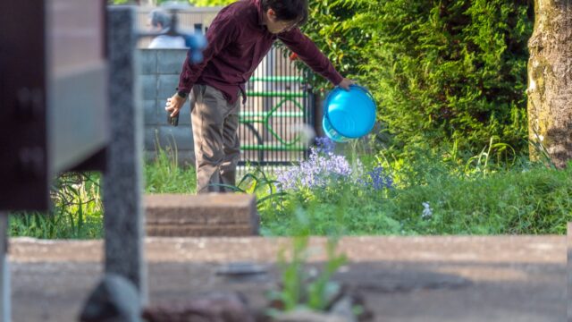 花の家でアザレアやツツジ、イングリッシュ・ブルーベルが咲き、仏壇で祖父母に話し始めるとたくさんのオナガが鳴き始めて笑ってしまった