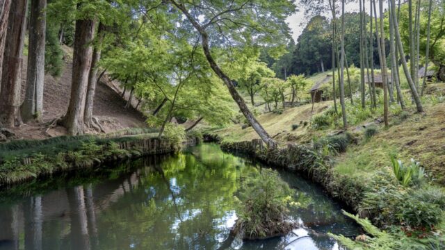 日本庭園